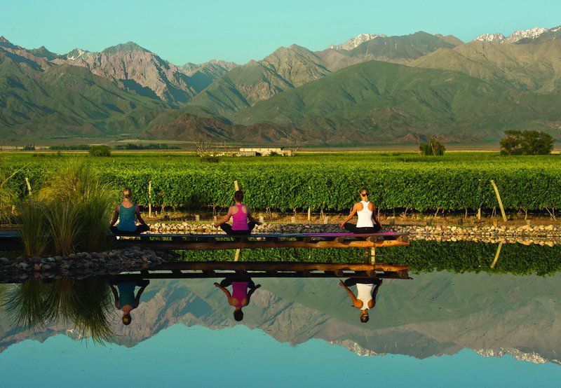 The Vines Resort & Spa Los Sauces  Eksteriør billede